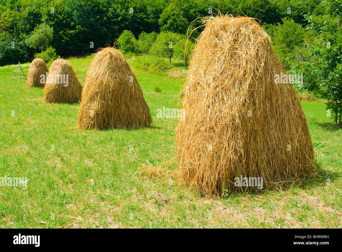 Piles of hay in a farmland Stock Photo - Alamy