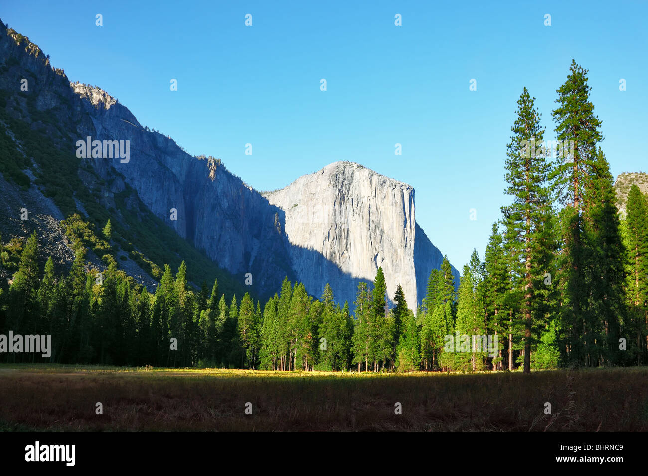 The most beautiful glade in Yosemite national park on a sunset Stock Photo