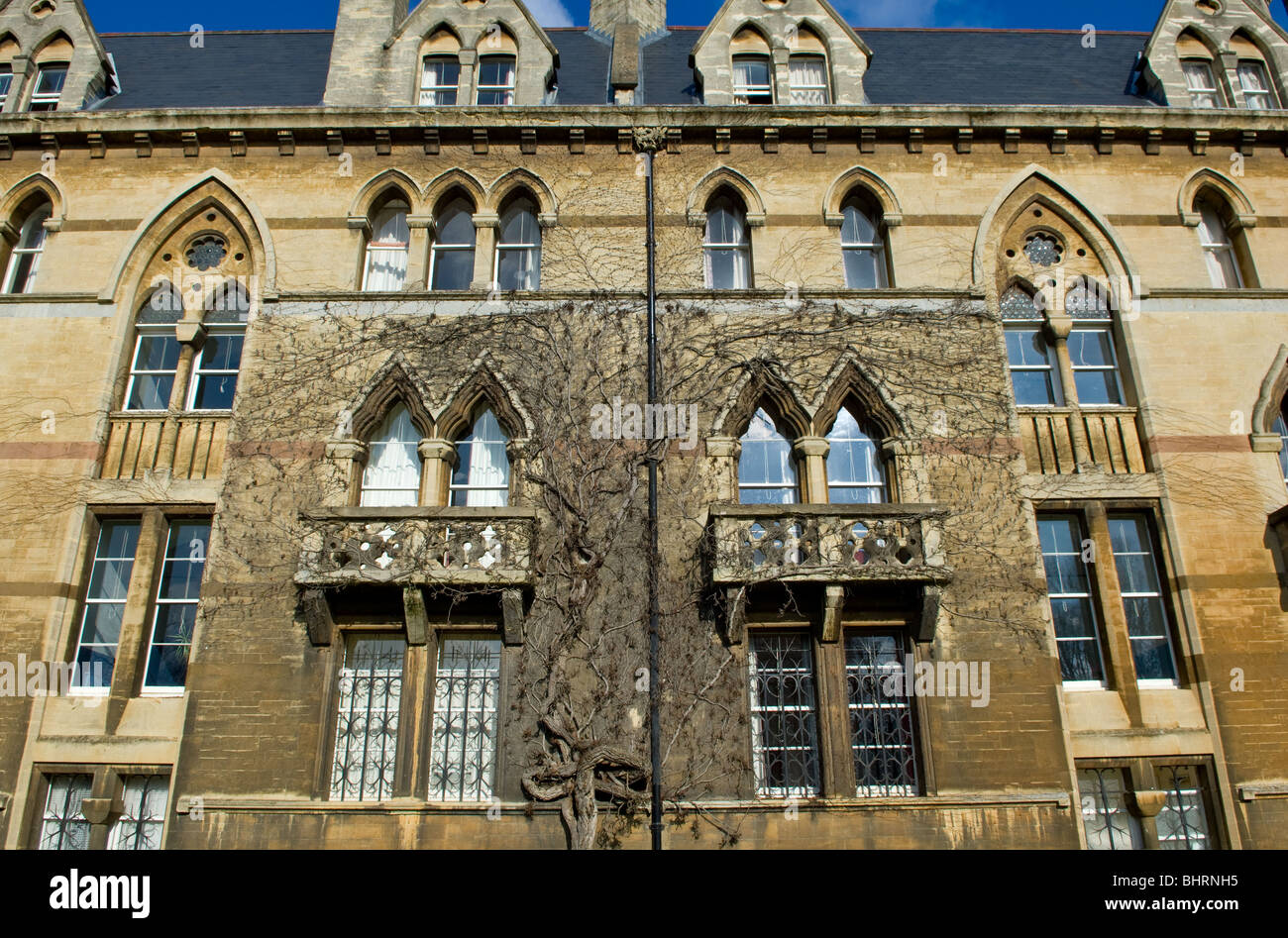 The Gothic style windows of the Meadow building at Christ Church College, Oxford University. Stock Photo