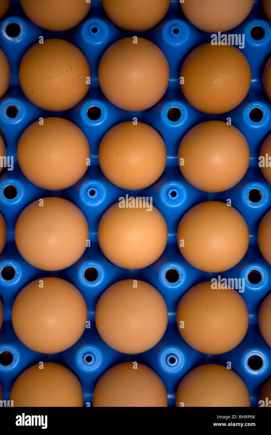 Free Range Eggs In A Tray Stock Photo