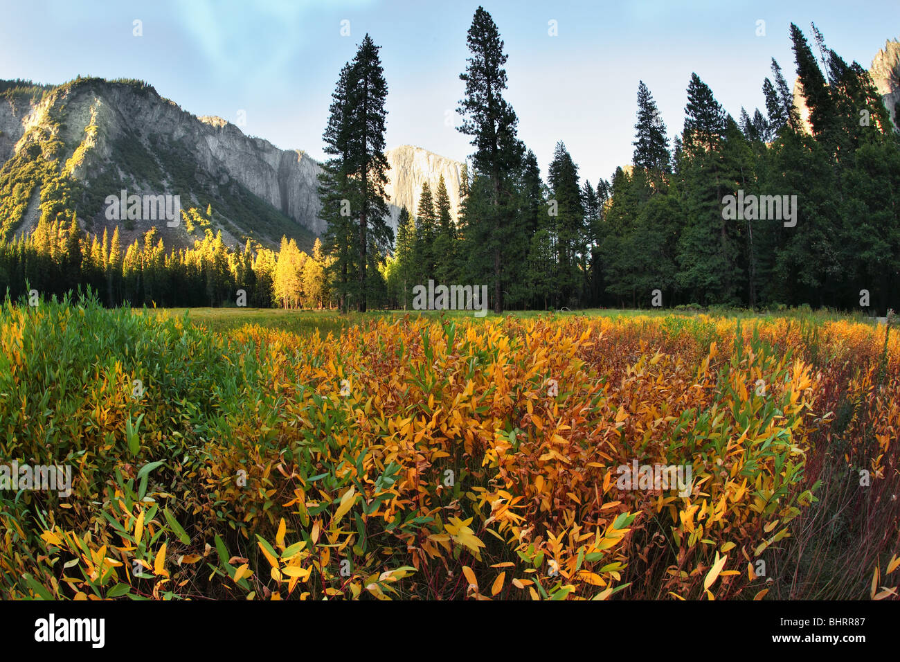 The most beautiful glade in Yosemite national park on a sunset Stock Photo