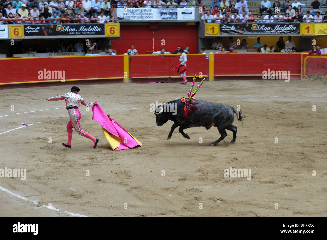 Matador bull charging hi-res stock photography and images - Alamy