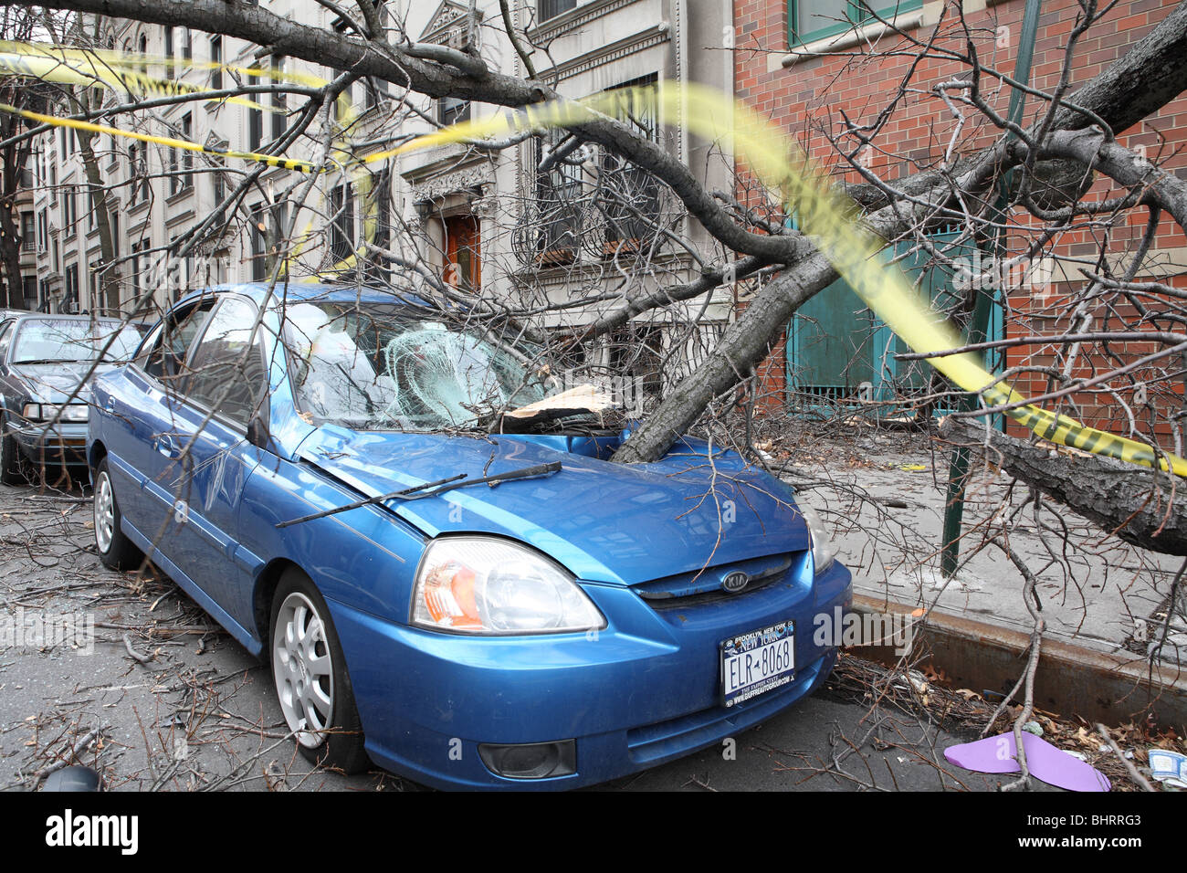 Parked Car crushed by wind damaged tree Stock Photo