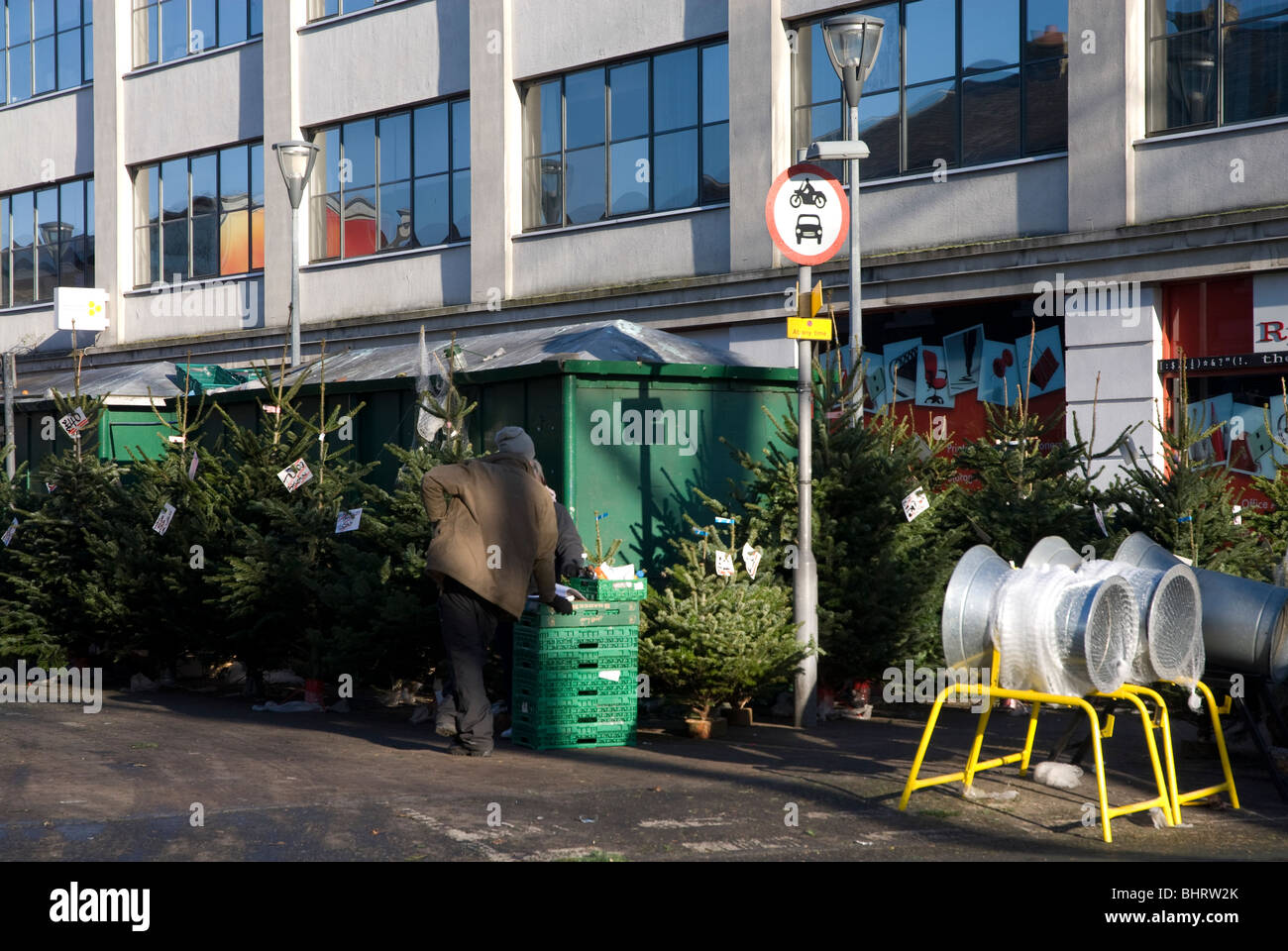 Christmas trees for sale in Essex Place Square Chiswick London W4 UK