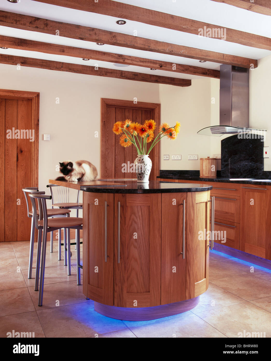 Blue halogen lighting below fitted units in modern country kitchen with