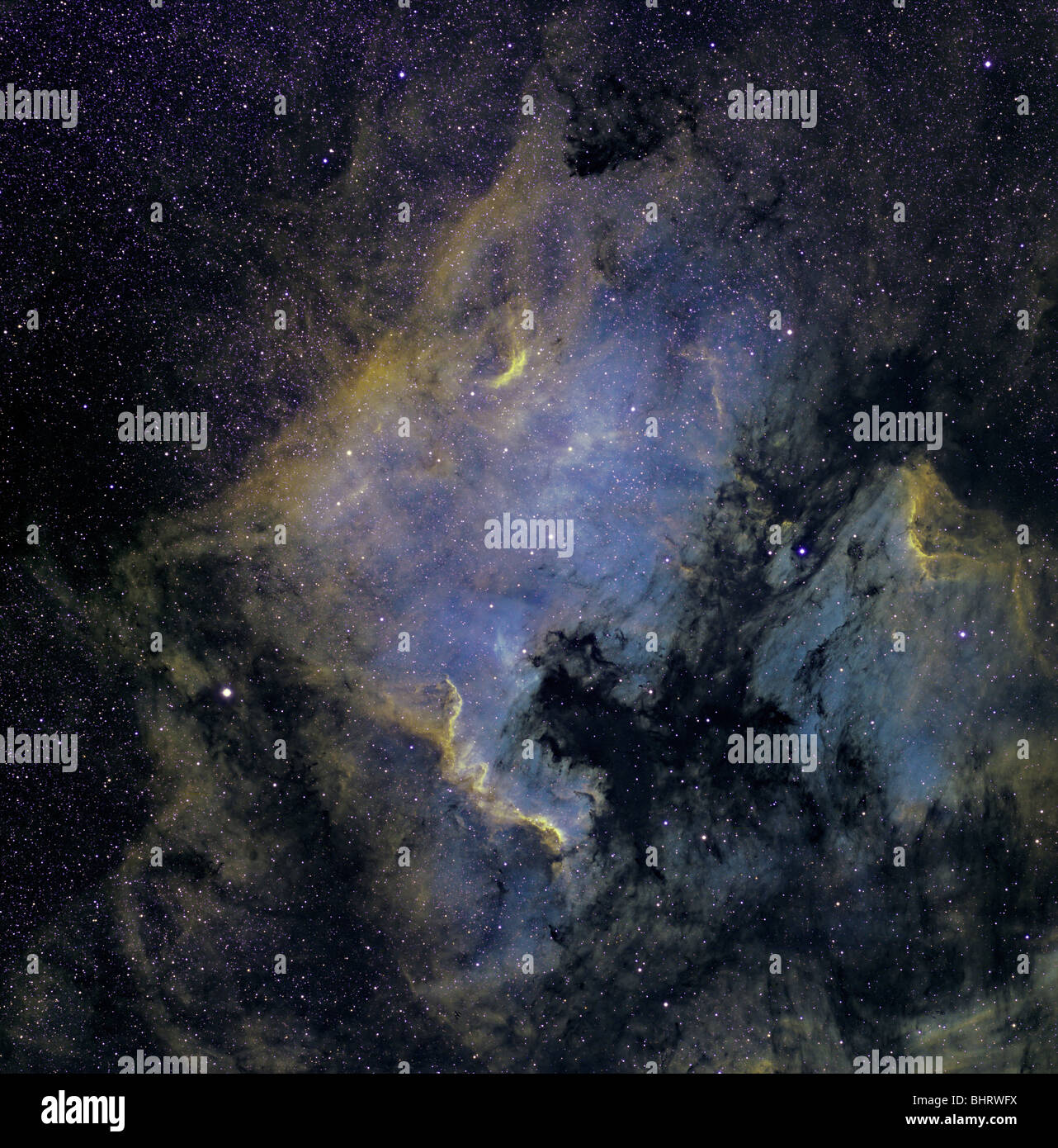 The North America Nebula and the Pelican Nebula in the constellation Cygnus. Stock Photo