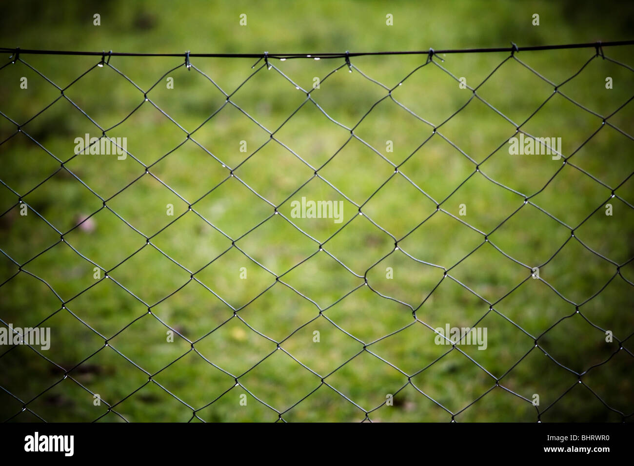 fence Stock Photo