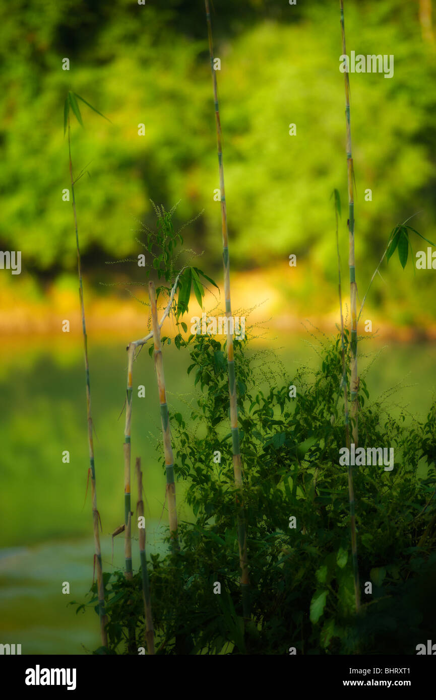 Laos Stock Photo