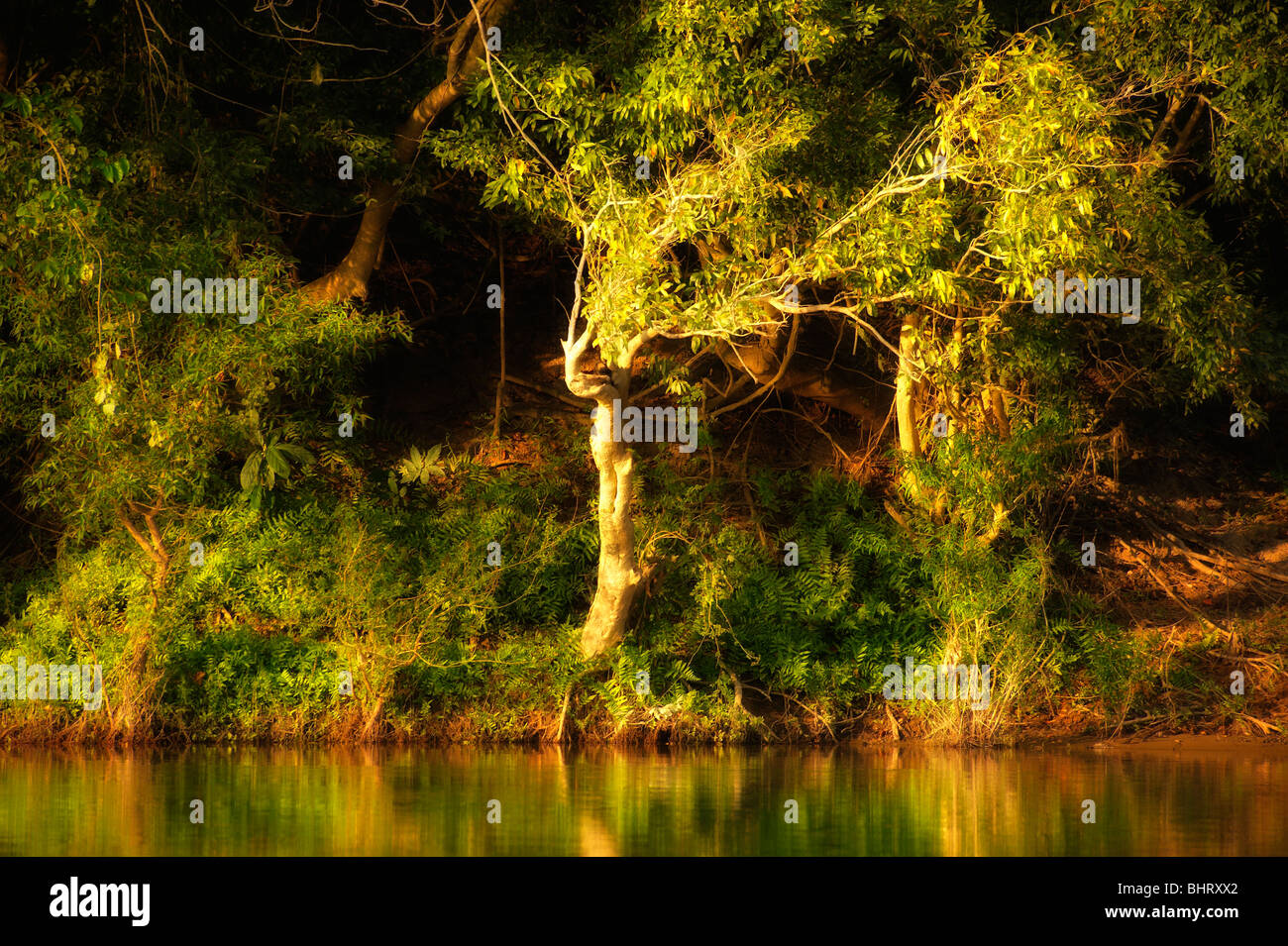 Laos Stock Photo