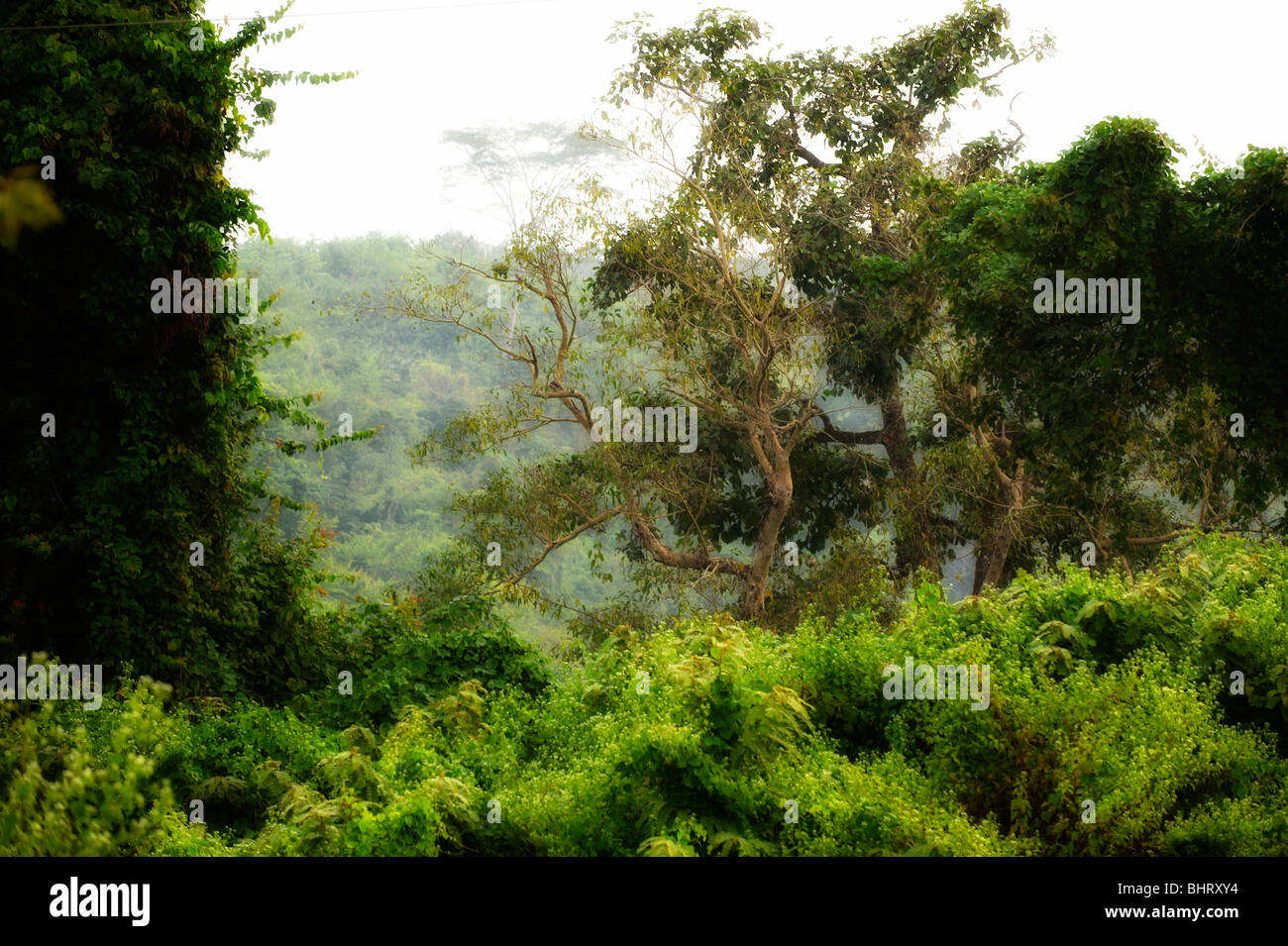 Laos Stock Photo