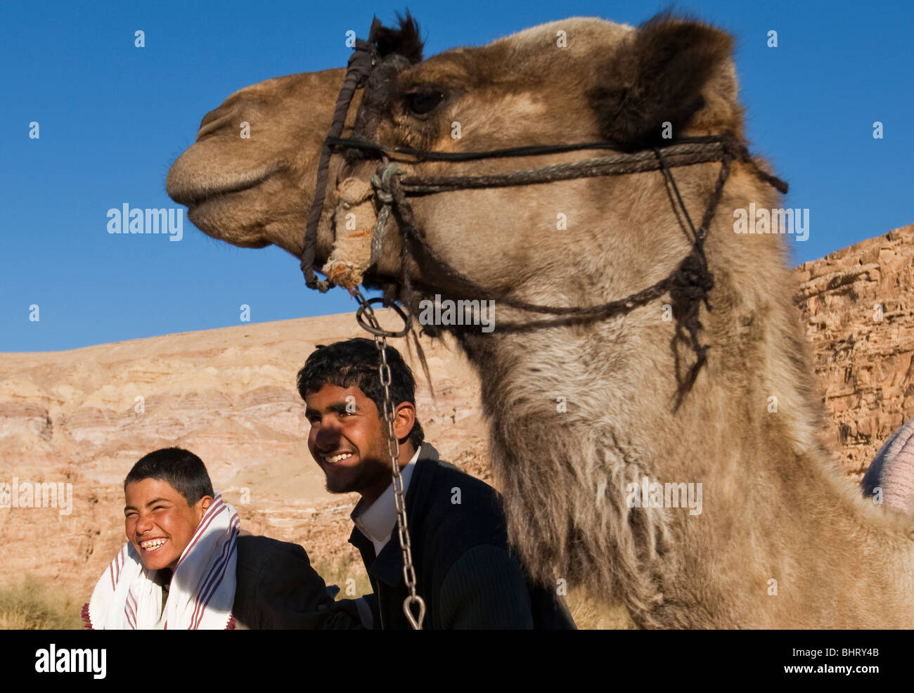 Young nomadic Bedouin boys pose for camera with their camel Stock Photo ...