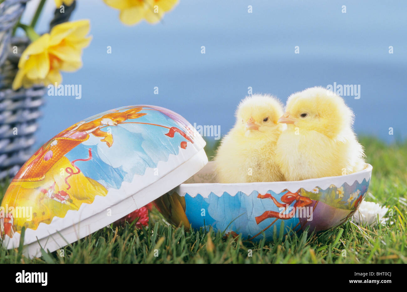 286,323 Easter Stock Photos, High-Res Pictures, and Images - Getty