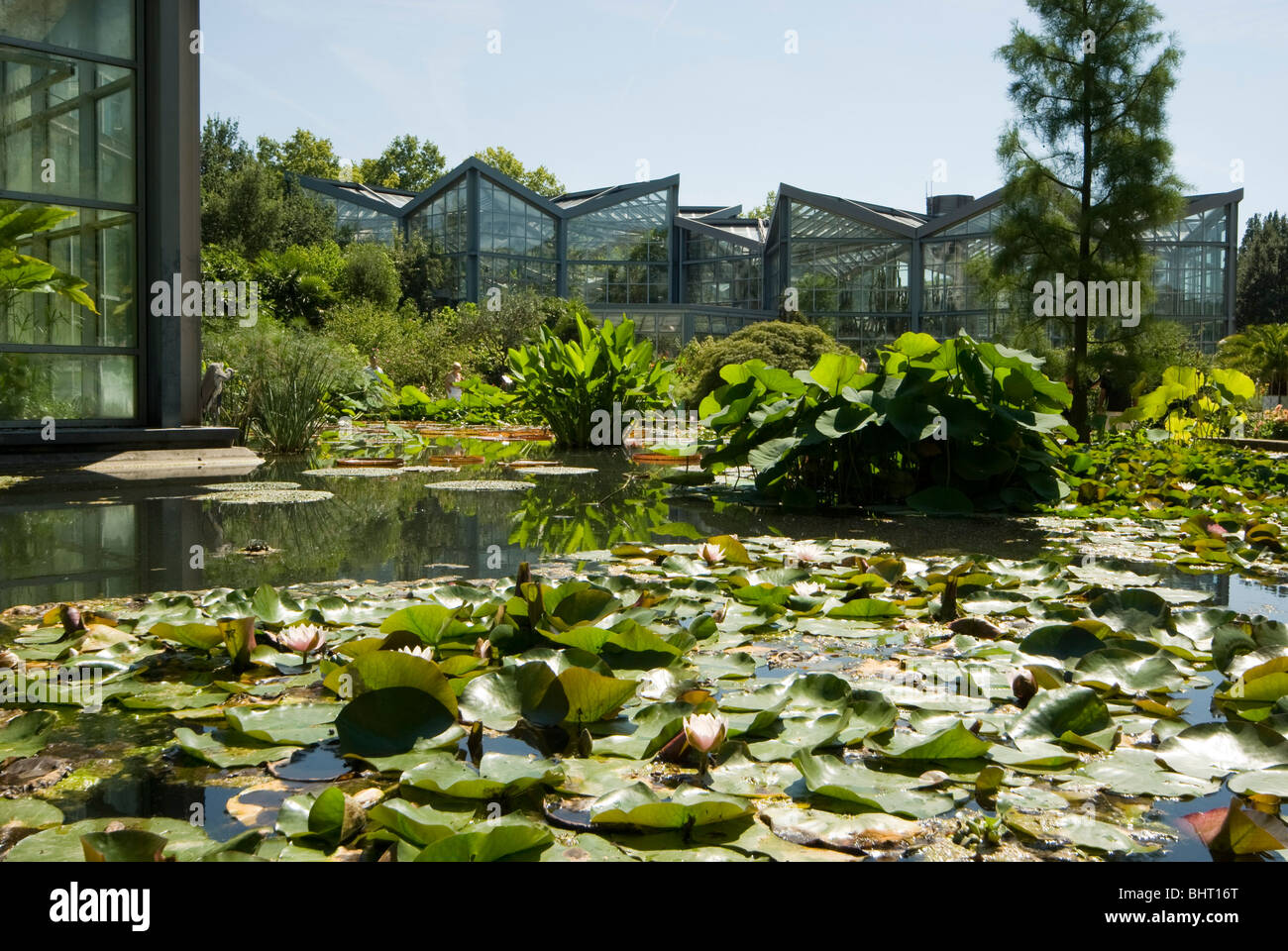 Palmengarten, botanical garden in Frankfurt, Tropicarium and skyline of
