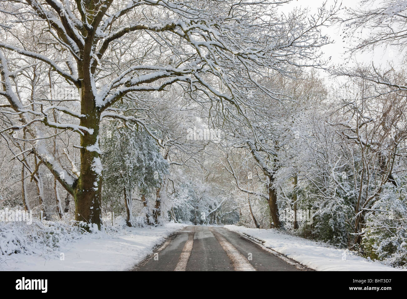 A country road covered in snow and slush after heavy snowfall in ...