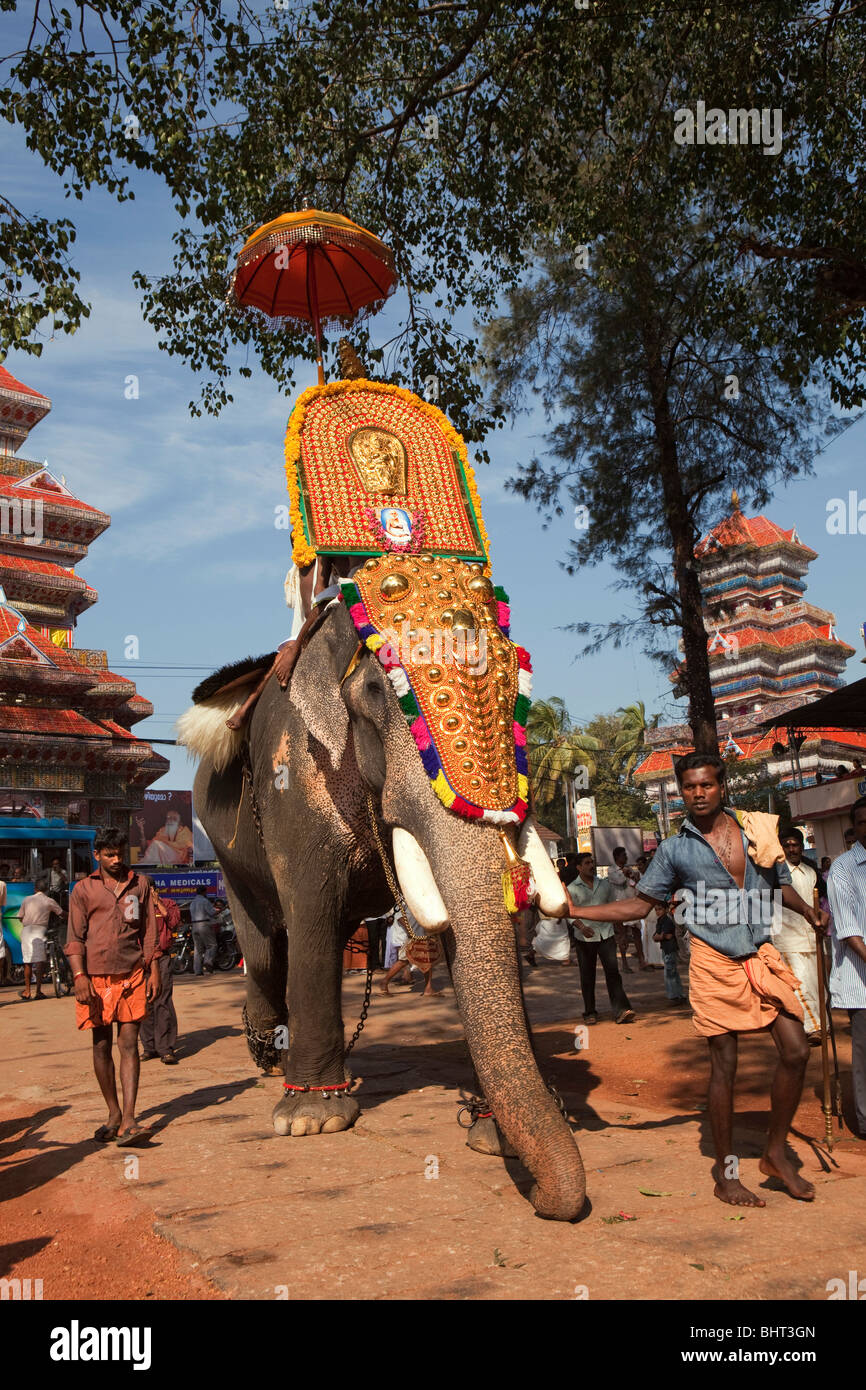India, Kerala, Koorkancherry Sree Maheswara Temple, Thaipooya Mahotsavam festival caparisoned elephant arriving Stock Photo