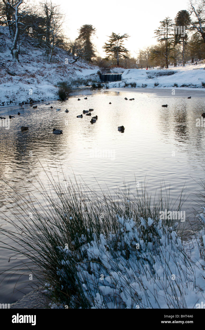 Snowy Winter Scene at Bradgate Park, Newtown Linford, Leicestershire