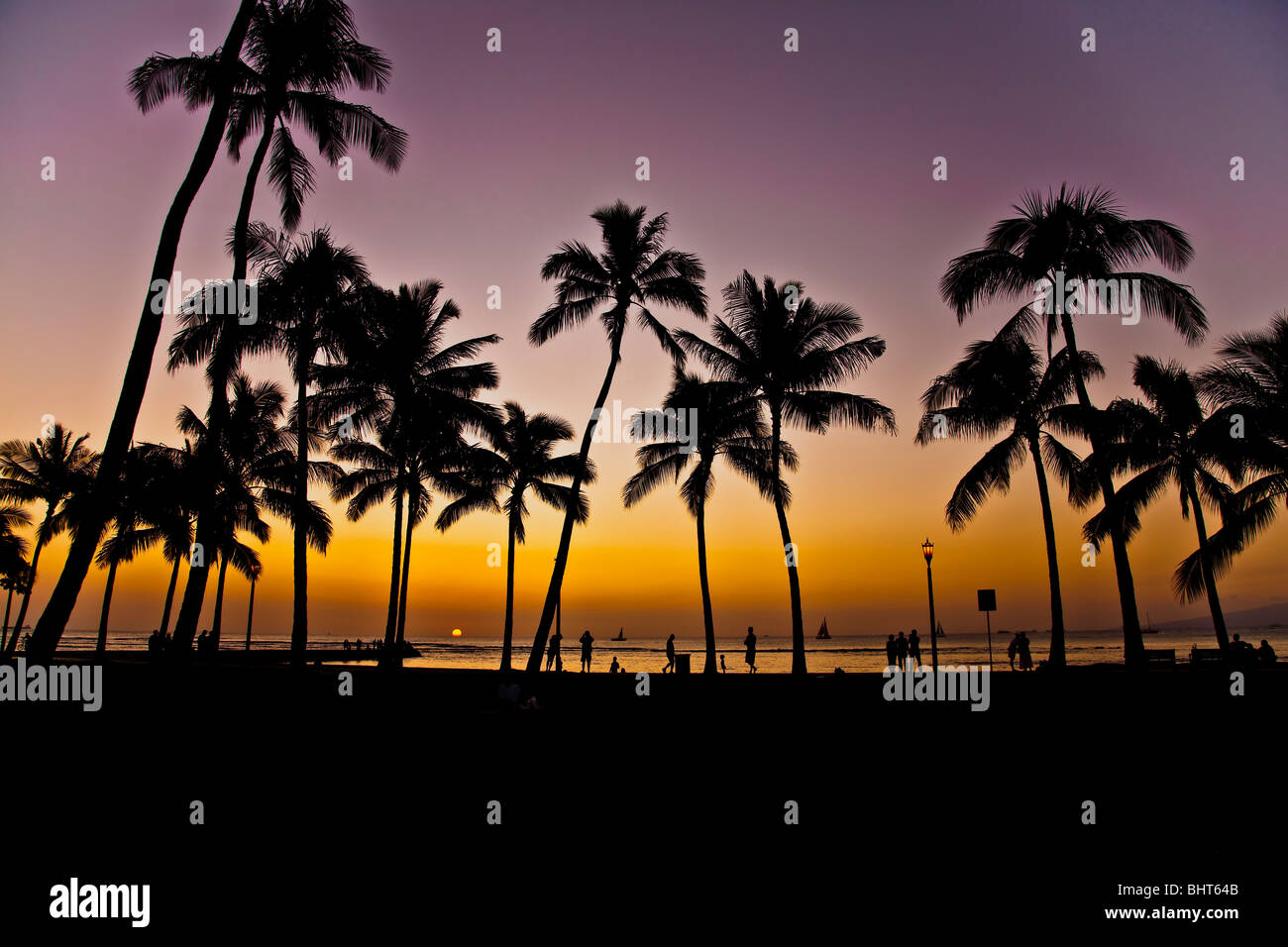 Sunset hawaii palm trees ocean hi-res stock photography and images - Alamy