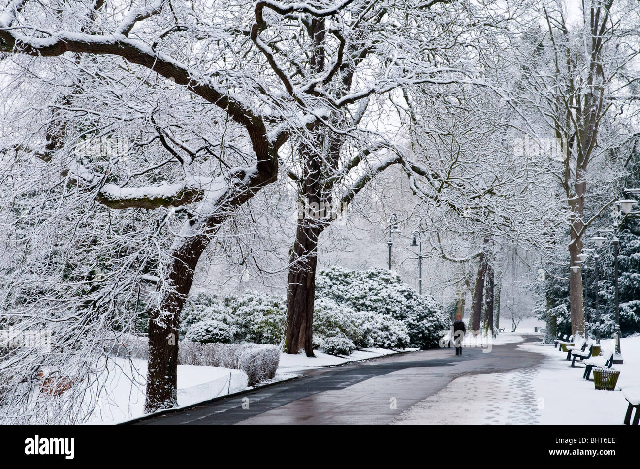 Winter, Schnee, Kurpark, Park, Wiesbaden, Hessen, Deutschland winter