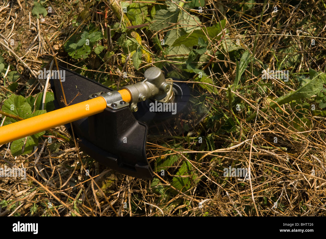 Brush cutter being used to cut down weeds on an allotment plot Stock