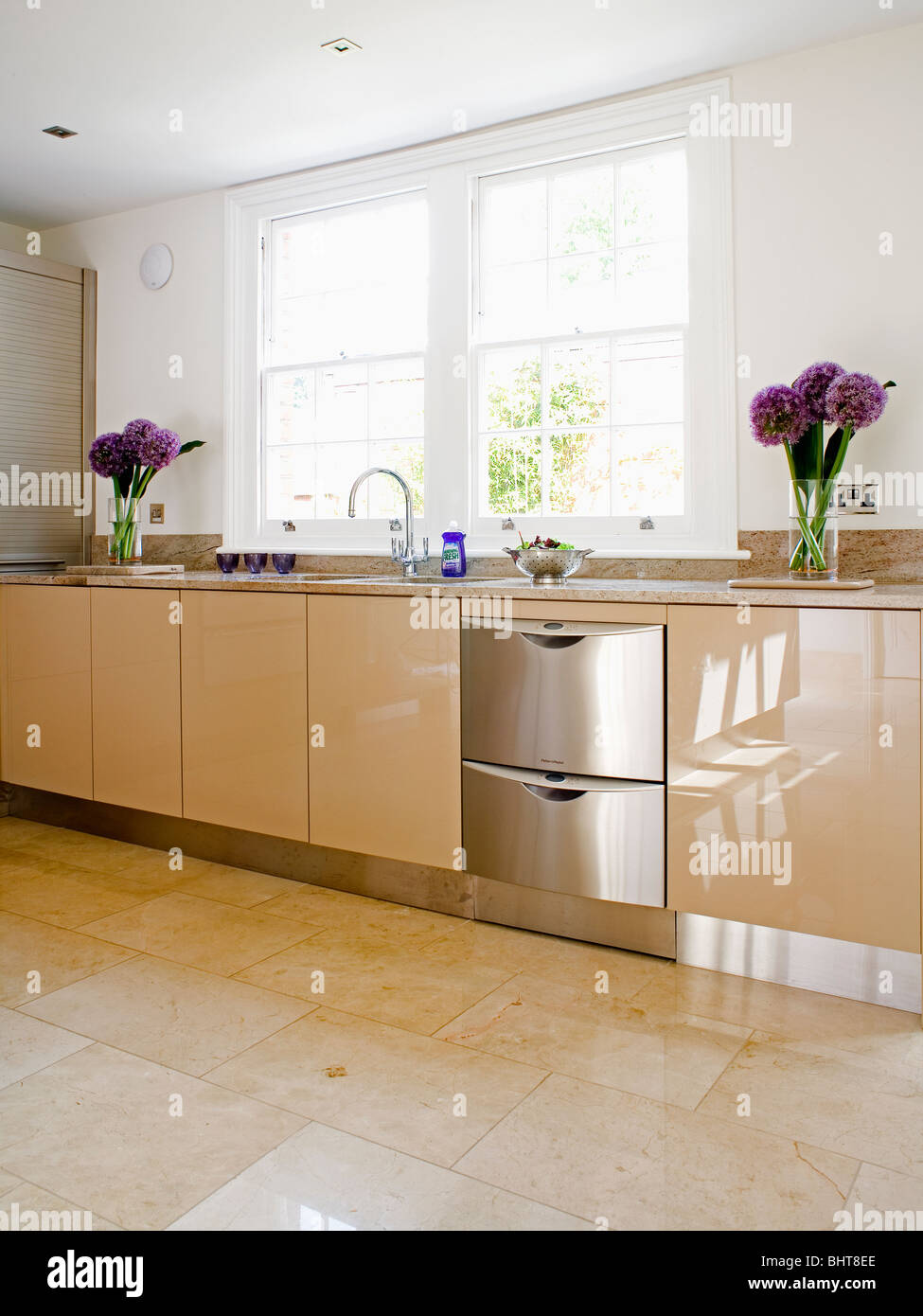 Stainless Steel Dishwasher In Pale Wood Fitted Unit In