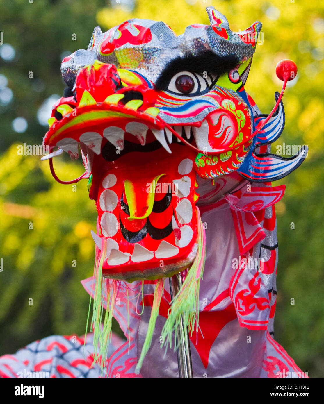 Chinese dragon head in dragon Banque de photographies et d'images à haute  résolution - Alamy