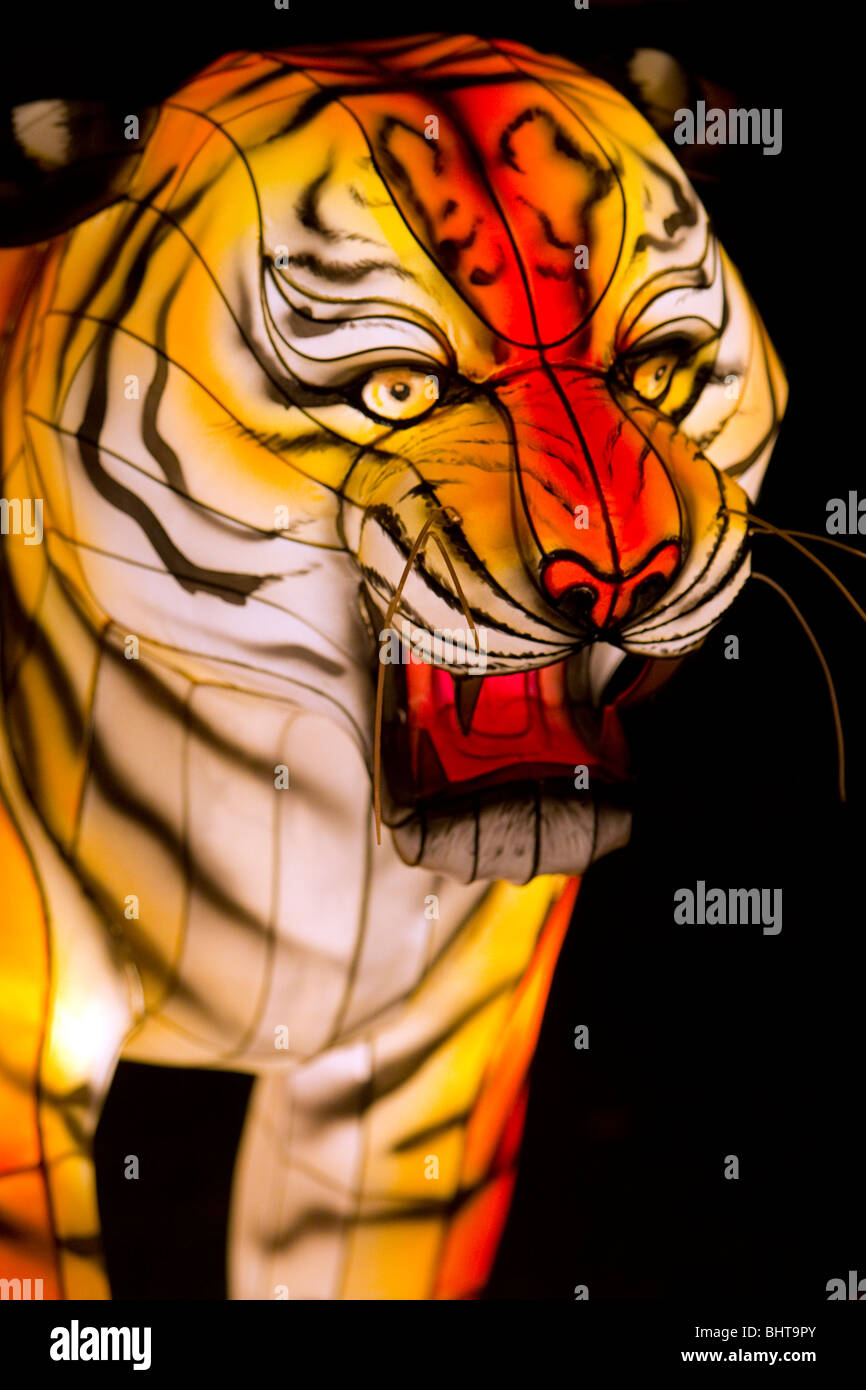 Chinese tiger lantern at the 11th Auckland Lantern Festival, Albert Park, Auckland, New Zealand, Stock Photo