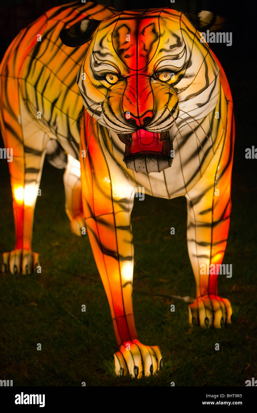 Chinese tiger lanterns at the 11th Auckland Lantern Festival, Albert Park, Auckland, New Zealand Stock Photo