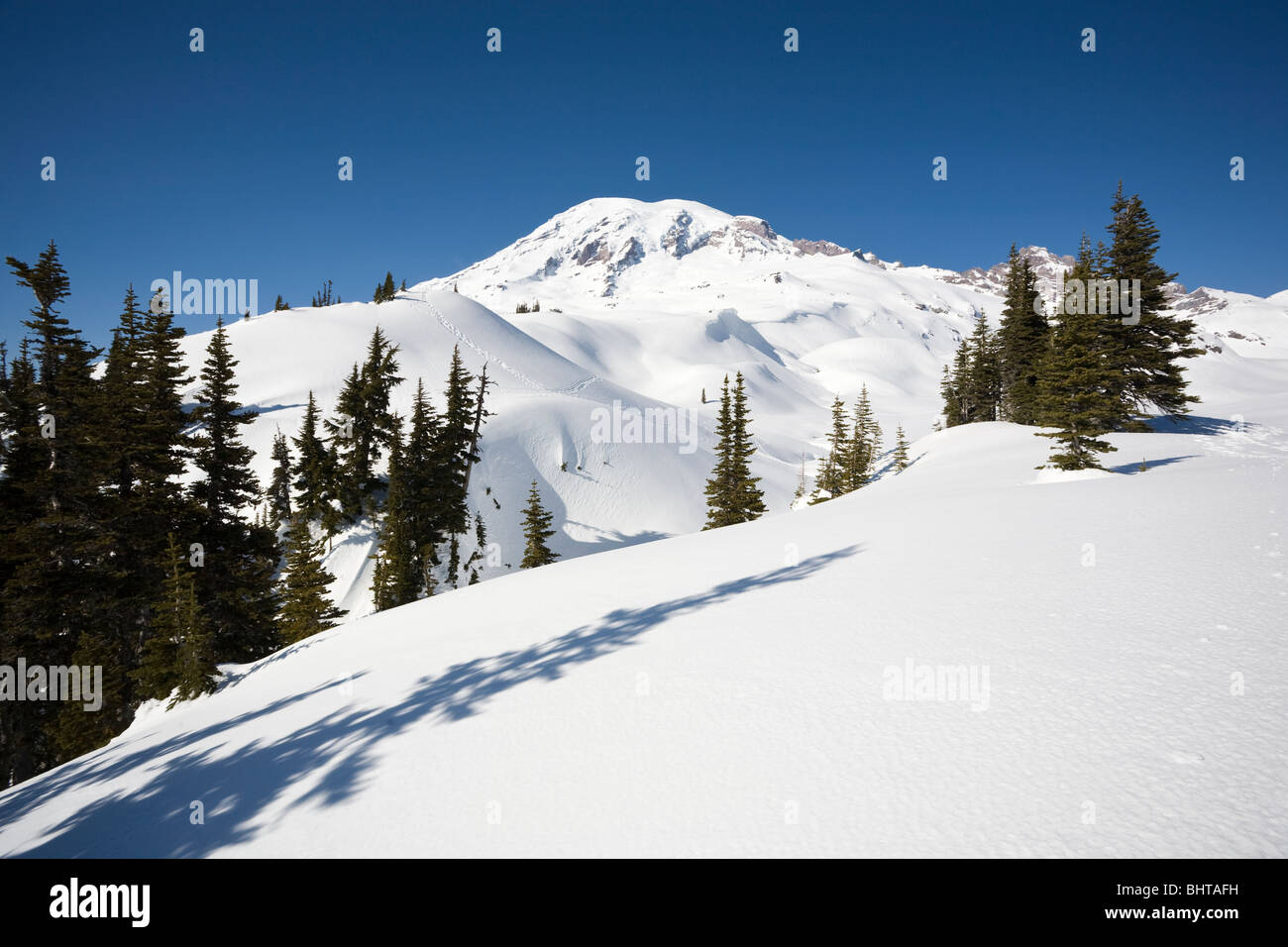 Mazama Ridge Ridge Trail - Mount Rainier National Park, Washington State Stock Photo