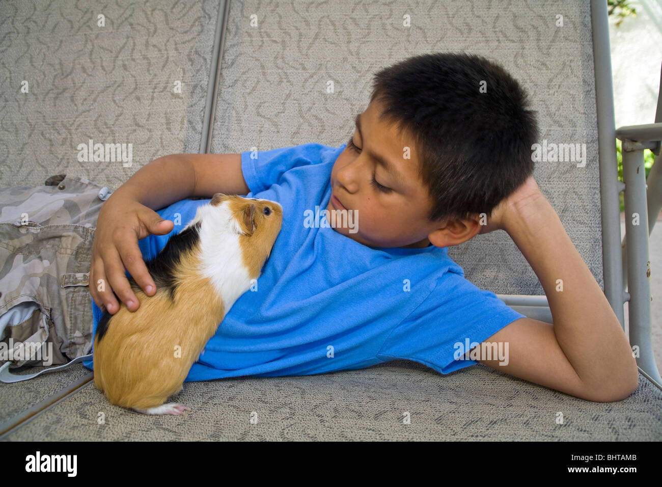 8-9 year old Hispanic boy relax relaxed relaxes relaxing playing with his Guinea pig on outside swing. United States  MR  © Myrleen Pearson Stock Photo