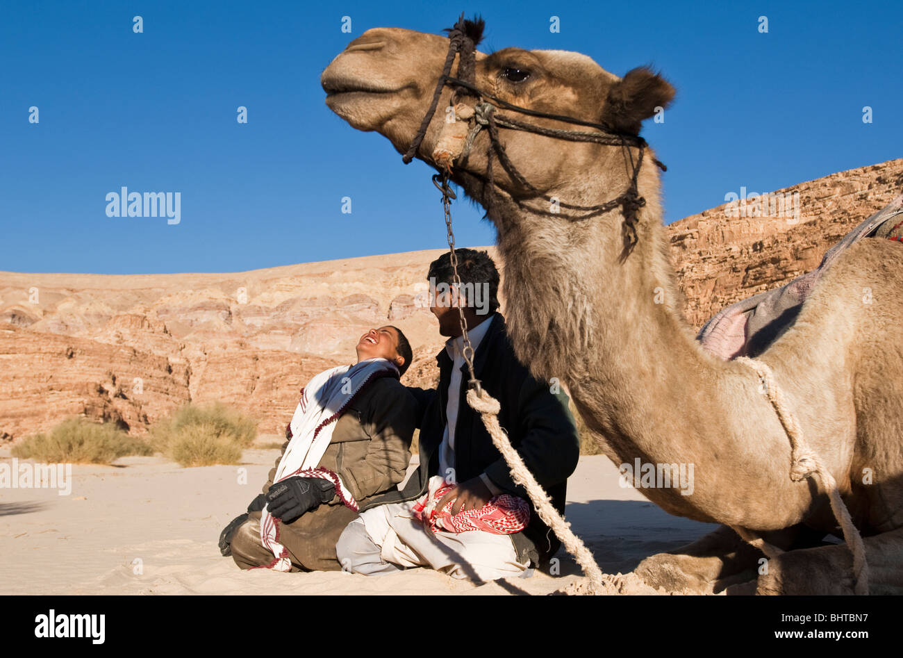 Young nomadic Bedouin boys pose for camera with their camel Stock Photo