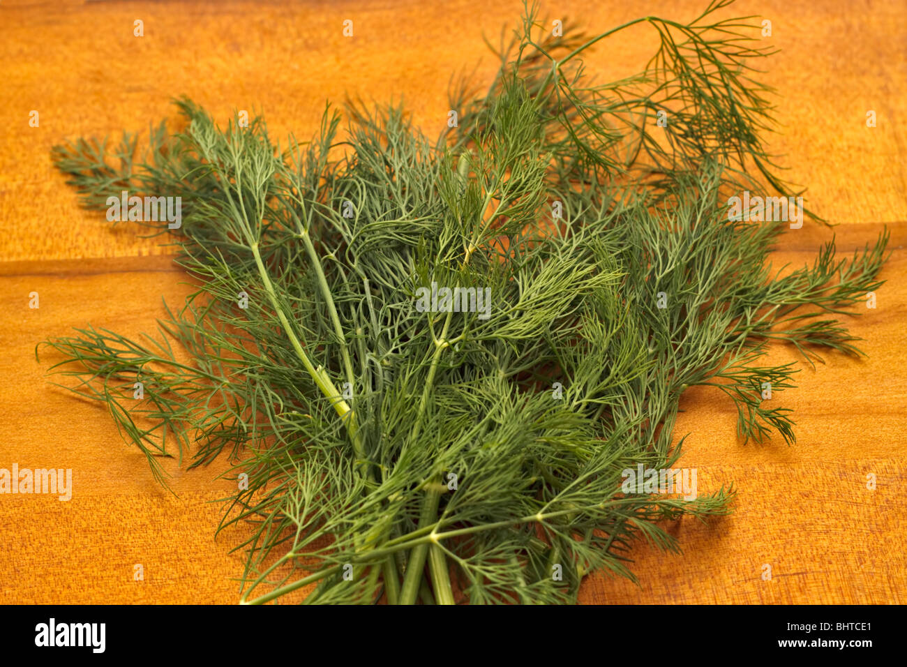 Dillweed hires stock photography and images Alamy