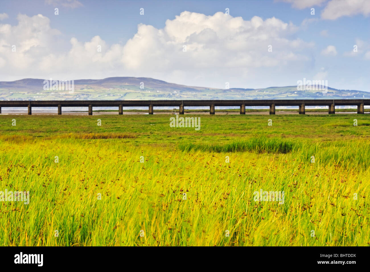 Grassland in the Roe Estuary nature reserve and the Translink railway line, County Londonderry, Northern Ireland Stock Photo
