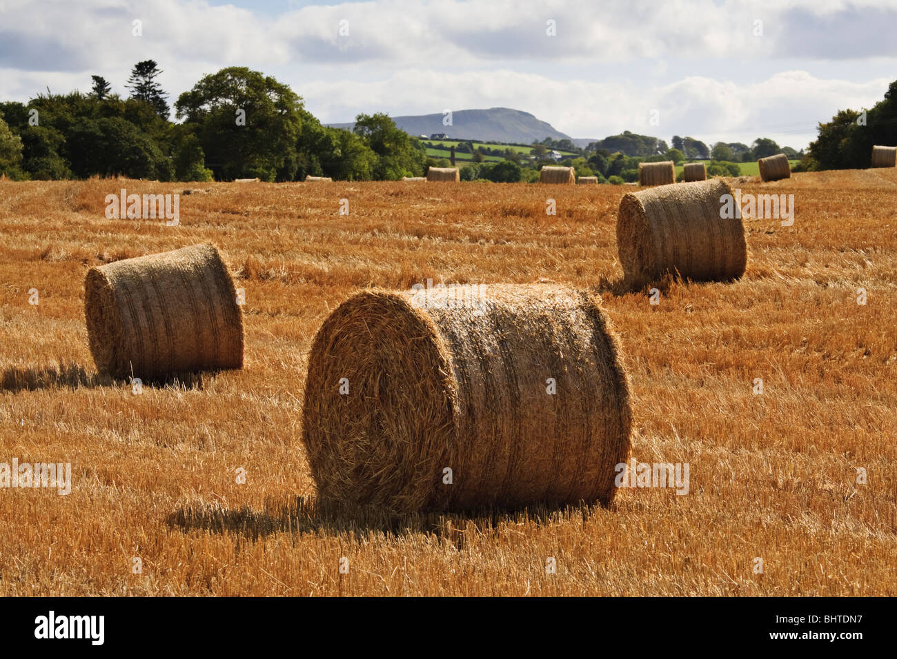 Bales of hay in a farm field near the Roe Valley Country Park, Limavady, County Londonderry, Northern Ireland Stock Photo