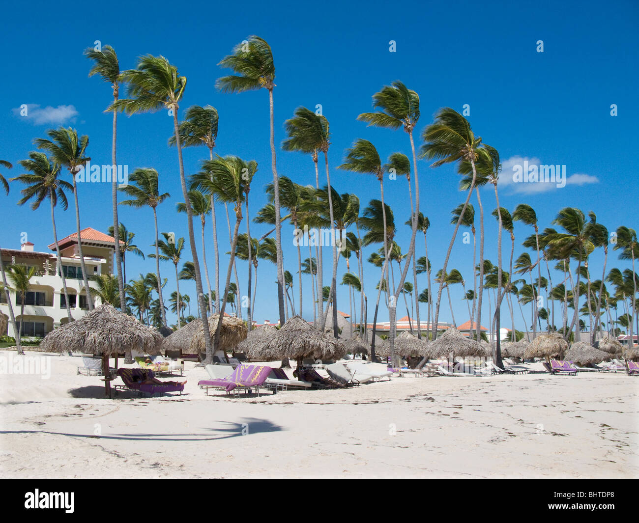 Paradisus Palma Real – Where Caribbean Dreams Come True - FrontRowSociety, image size:1300x1065