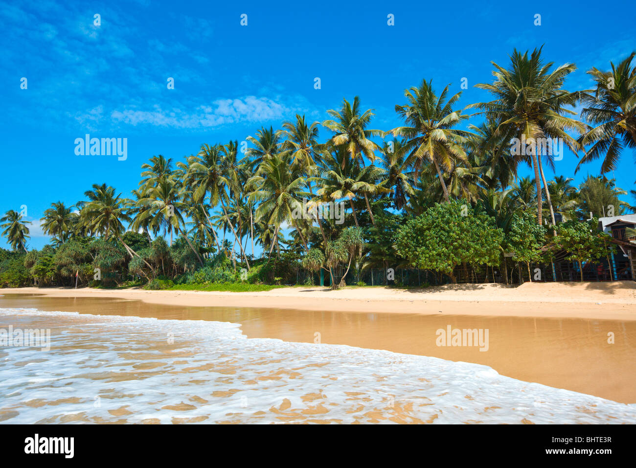 Tropical paradise idyllic beach. Mirissa, Sri Lanka Stock Photo