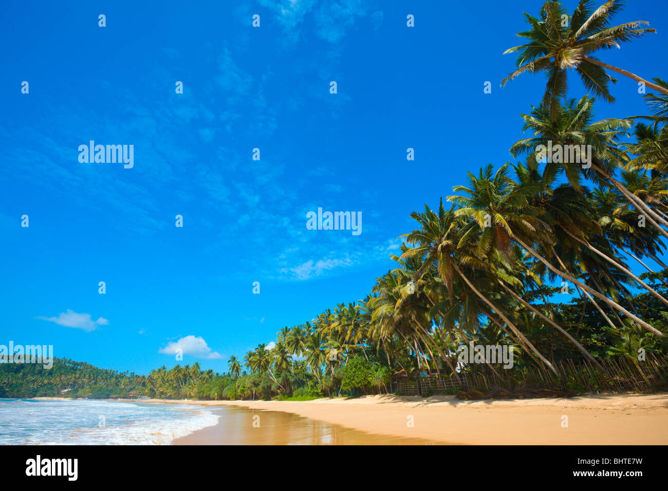 Tropical paradise idyllic beach. Mirissa, Sri Lanka Stock Photo