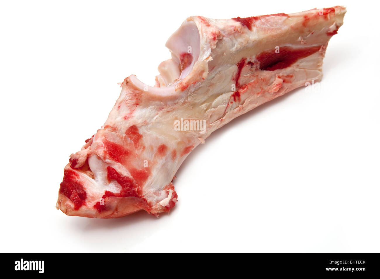 Beef knuckle dogs bone isolated on a white studio background. Stock Photo