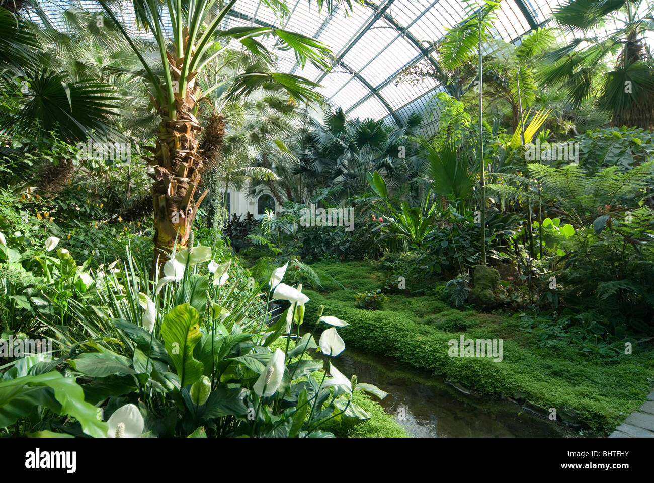 Palmengarten, botanical garden in Frankfurt, Tropicarium and skyline of