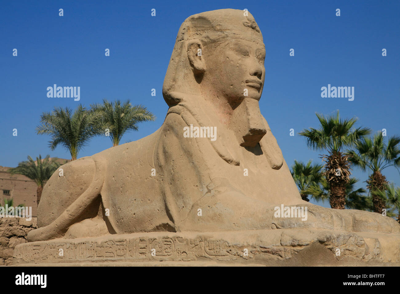 Close-up of a sphinx at Luxor Temple in Luxor, Egypt Stock Photo