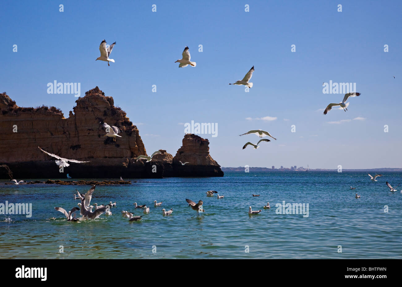 Flying seagulls on the beach in front of a rock under a blue sky at cliffs in Algarve Stock Photo
