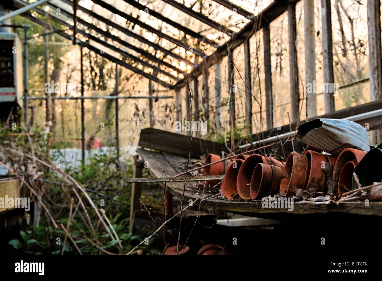 Greenhouse effect plants hi-res stock photography and images - Alamy