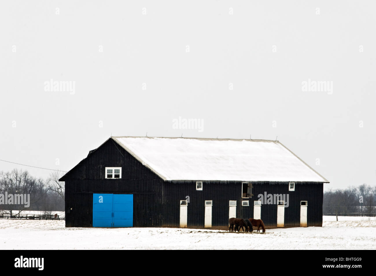 Horse Barn with Blue Door in Snow Covered Field in Fayette County, Kentucky Stock Photo