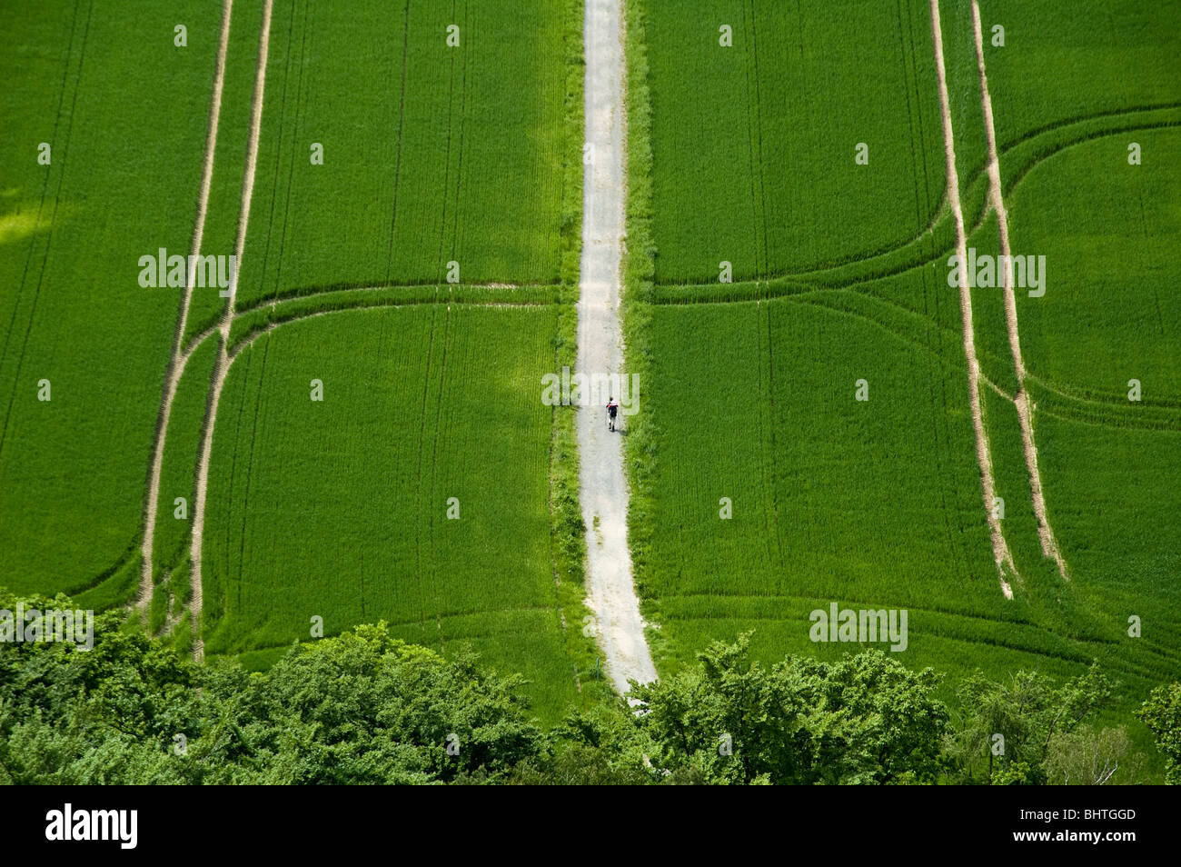 view on green field with tracks, walker, Saxony, Germany Stock Photo