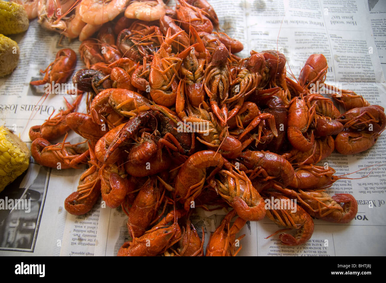 Louisiana Crayfish Stock Photos Amp Louisiana Crayfish Stock