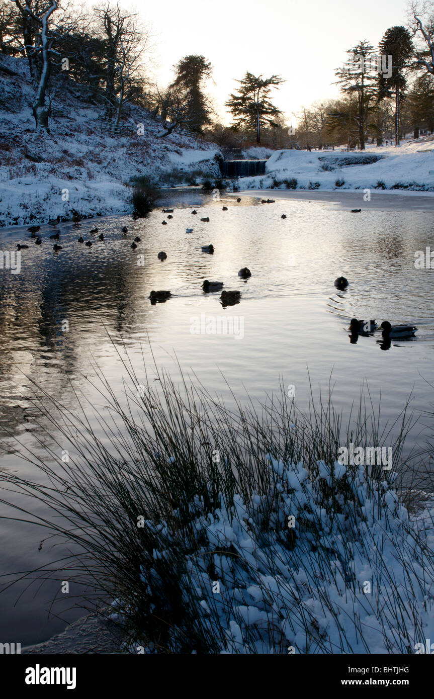 Snowy Winter Scene at Bradgate Park, Newtown Linford, Leicestershire Stock Photo