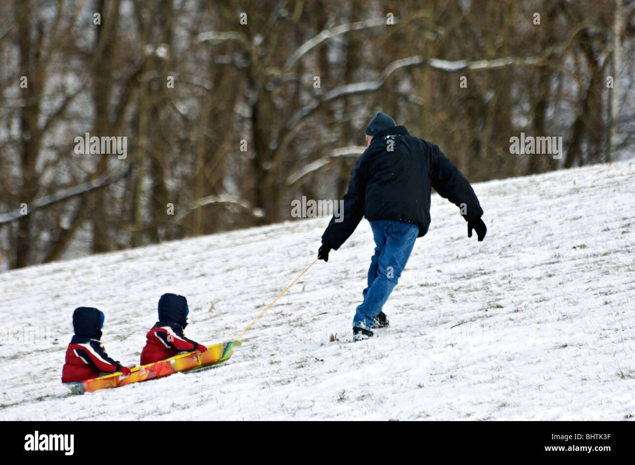 Father Pulling Two Young Children Up Hill on Sled in Cherokee Park in Louisville Stock Photo