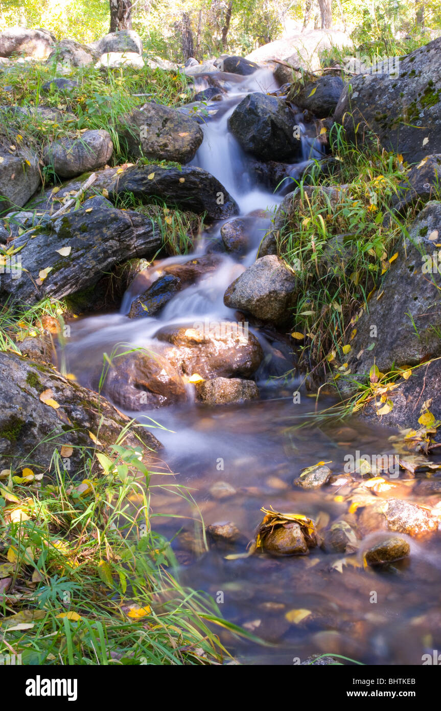 Water flow mountain river green hi-res stock photography and images - Alamy