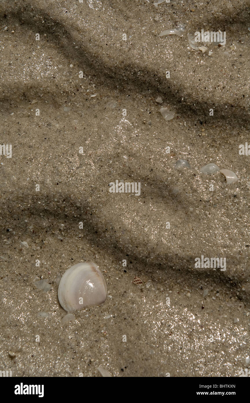 Close up of Sand at the beach perfect background / texture Stock Photo ...