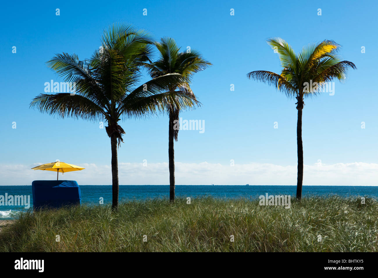 A single umbrella on the beach located next to three palm trees provides solitude and quiet during vacations. Stock Photo