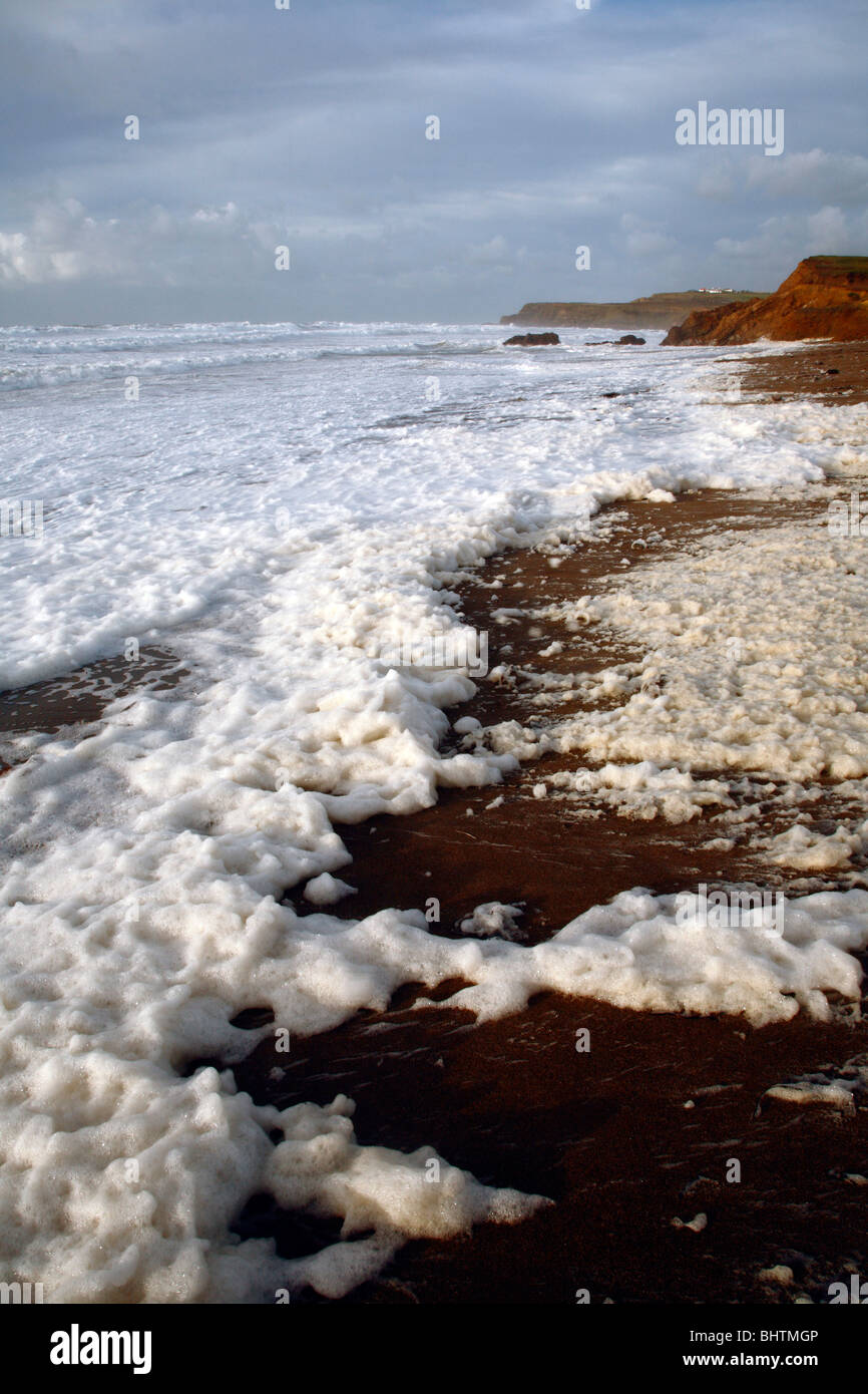 Sea Foam spume on Widemouth Bay, Cornwall,England,UK. Stock Photo